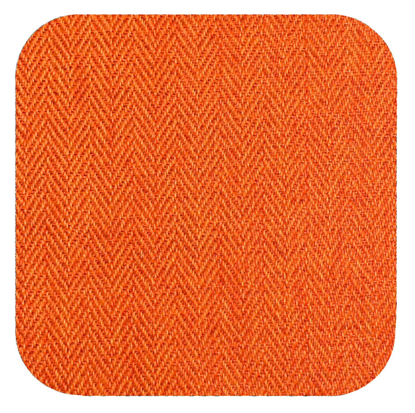 Pirate Willy - Wicked